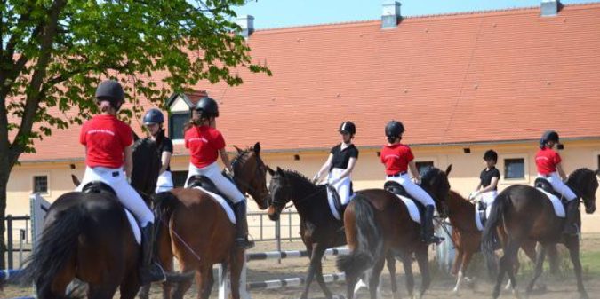 Integration des Pferdesports in den Unterricht – Gesamtschule Neustadt (Dosse)