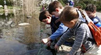 Schule Natur – Vernetztes Lernen im Botanischen Garten