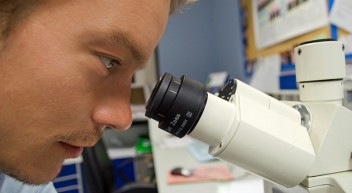 Was macht man als … Veterinärmedizinisch-technische/r Assistent/in?