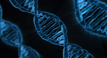 Biomedizinische Technik an der TU Chemnitz