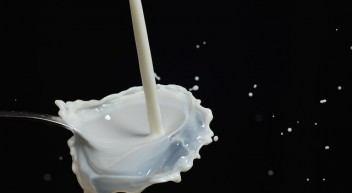 Milchtechnologen – was machen die eigentlich?