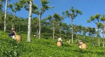 Video: Wie funktioniert das Fairtrade-System?