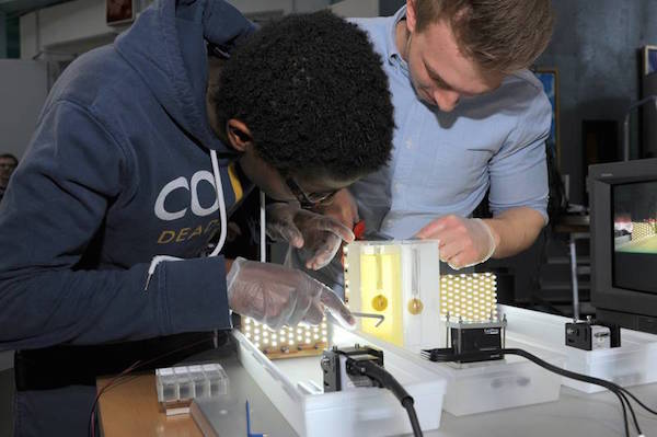 Aufbau des Pendelexperiments durch Schüler der Internationalen Schule Bremen. Quelle: ZARM