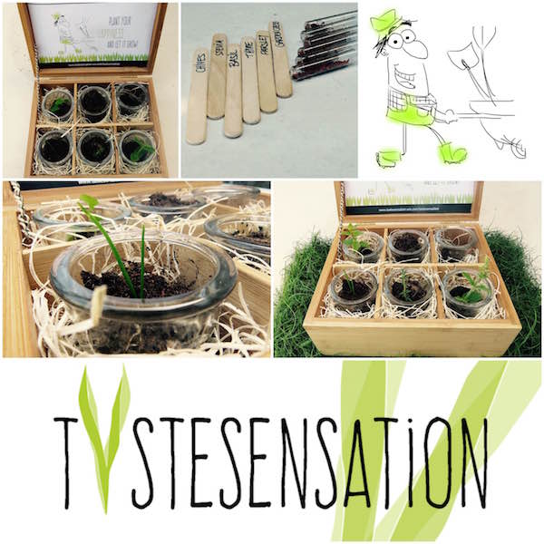 TasteSensation - Happy Garden