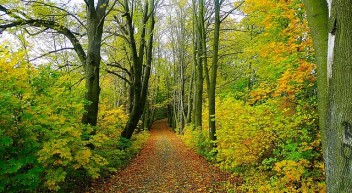 Ausbildung: Natur- und Landschaftspfleger/in (Ranger)
