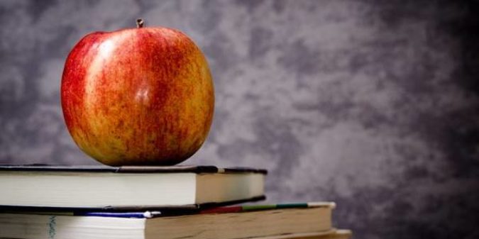 Warum Schule Management braucht
