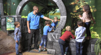 SEA LIFE Aquarien – Tauchen Sie ein und erleben Sie noch Mee(h)r!