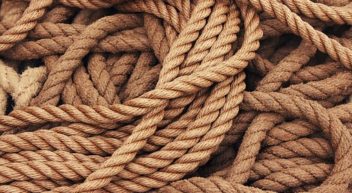 Seiler/in – was machen die eigentlich?