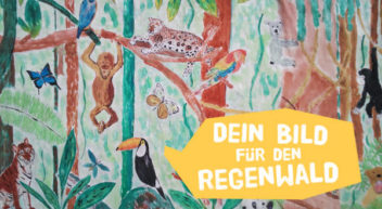 Dein Regenwald-Bild rüttelt unsere Politiker wach
