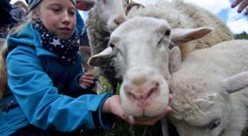 Wettbewerb „Natur macht Schule“: Aktionen gegen das Artensterben gesucht