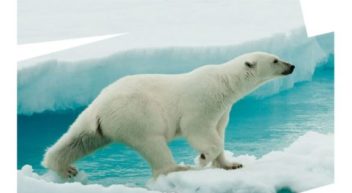 Arktis: Schutzgebiet oder industrielle Nutzung ohne Grenzen?